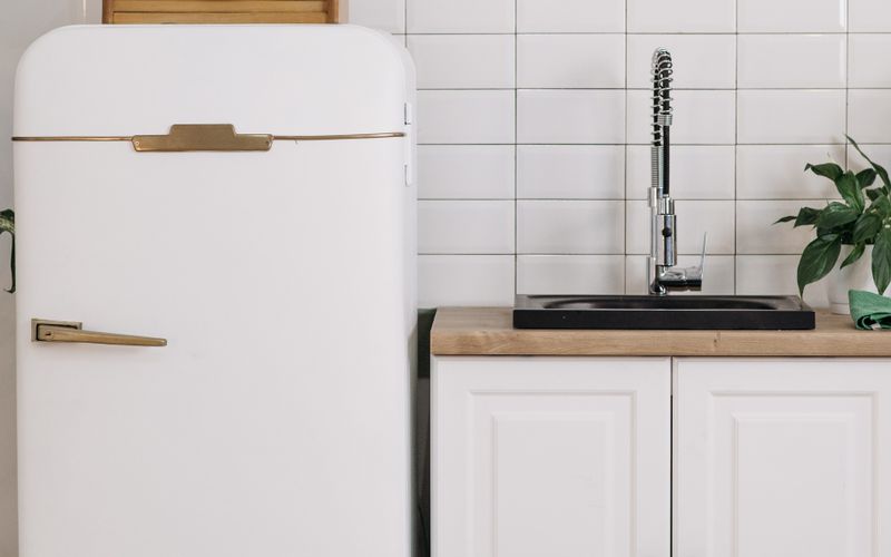 Modern minimalist kitchen featuring vintage white fridge with sink and greenery