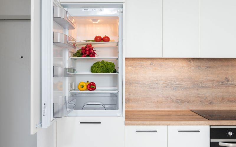 Contemporary kitchen with refrigerator filled with fresh bright tomatoes, lettuce and bell peppers