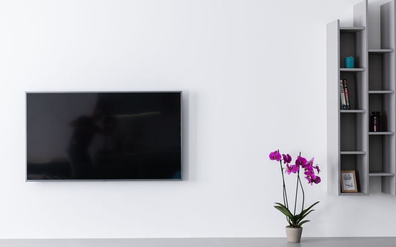 Comfortable modern living room with gray sofa and wall-mounted TV — best 55-inch TVs for Ugandan homes